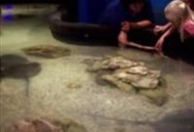 Visit Salt Lake Connect Pass